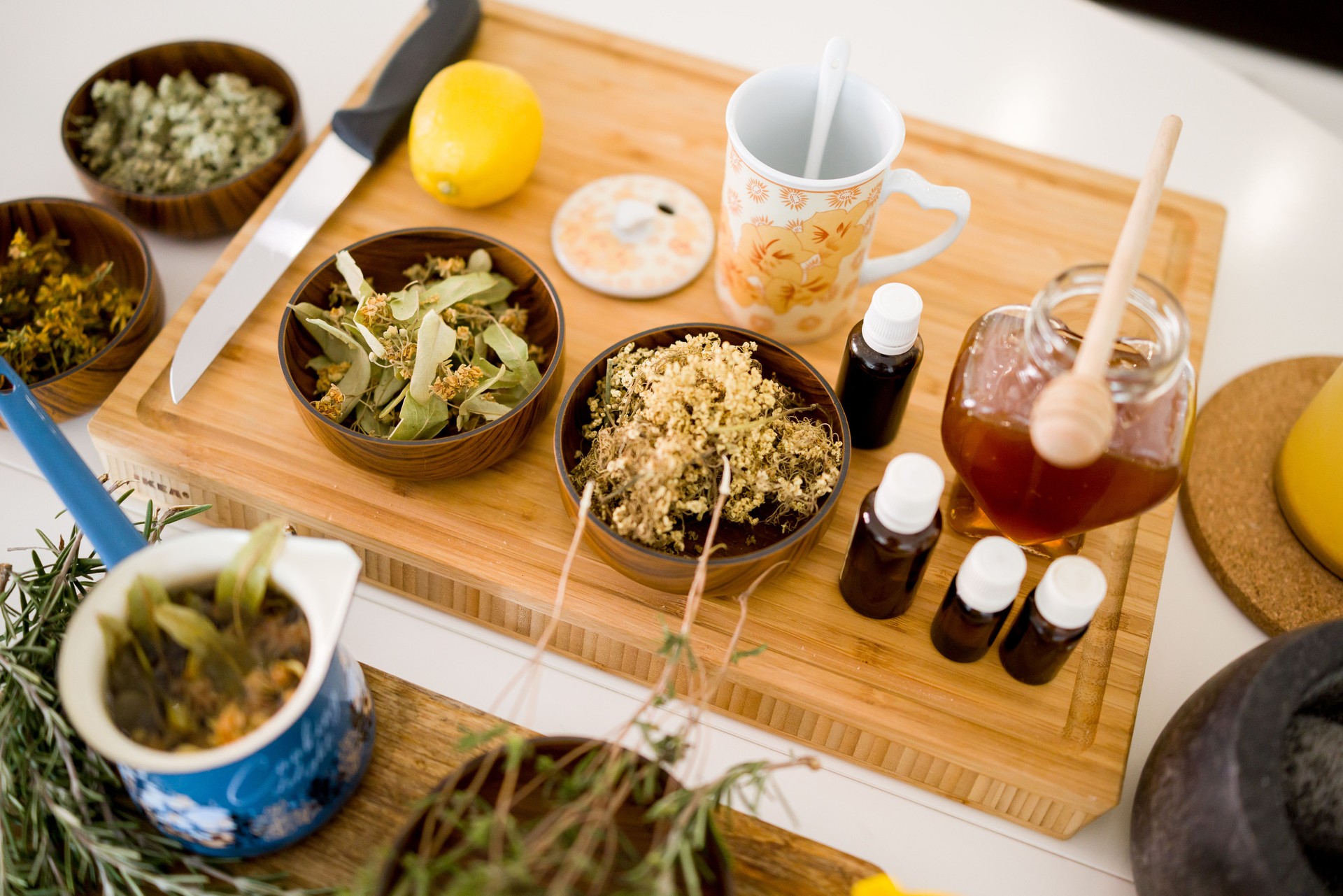 Alternative medicine, herbal therapy